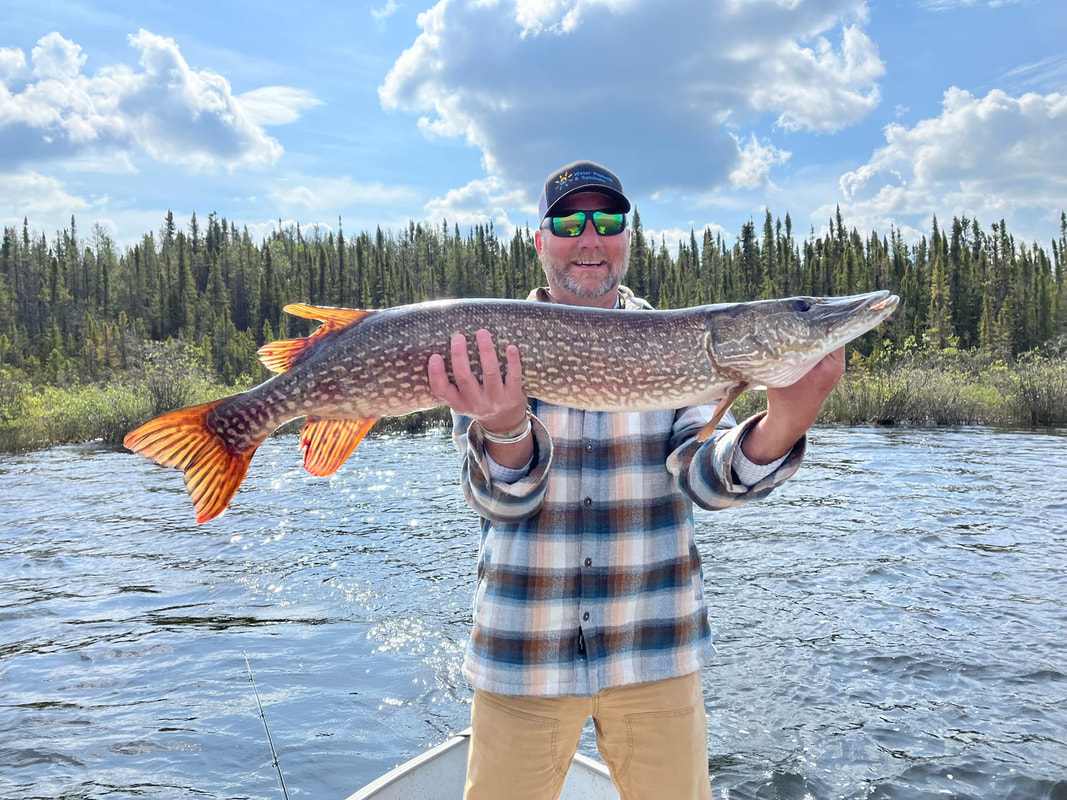 4-day Saskatchewan Northern Pike, Lake Trout, Arctic Grayling and Walleye  Fishing Trip for Two Angle